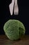 Ripe green savoy cabbage, wooden fork and knife.