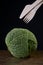 Ripe green savoy cabbage, wooden fork and knife.