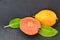 Ripe guava fruit on a dark stone background.Psidium guajava.Tropical fruits,healthy food or diet concept.