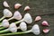 Ripe heads of garlic on a wooden background