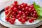 Ripe healthy antioxidant red currant berries