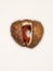 A Ripe Horse Chestnut pod bursting open revealing the seed inside