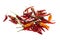 Ripe hot red and orange chili peppers piled in a pile on a white isolated background