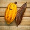 Ripe Indonesia\'s cocoa .