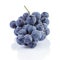 Ripe isabella grapes