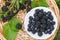 Ripe juicy blackberries with leaves in a wicker plate