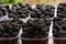 Ripe juicy blackberries in plastic containers on market stall. Fresh organic berries from ecofarm