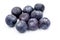 Ripe juicy blueberry fruit  on a white background.