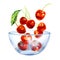 Ripe and juicy cherries falling into a glass bowl, sweet fruit, close-up, vegetarian food, healthy snack, isolated, hand