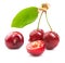 Ripe juicy cherry isolated