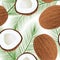 Ripe juicy coconut with leaf isolated on white. seamless pattern vector Whole and half