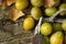 Ripe juicy colorful yellow and green plums in vintage wicker basket. Dry leaves. Dark wood background. Still life, copy space.