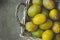 Ripe juicy colorful yellow and green plums in a wicker basket. Dark concrete stone background. Autumn fall harvest, Thanksgiving