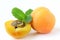 Ripe juicy fruit apricot