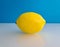 Ripe juicy lemon realistic tropical fruit closeup