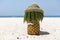 Ripe and juicy mustachioed pineapple in a hippie hat stands on the beach, in the background the azure sea