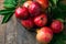 Ripe juicy organic bright red pomegranates in metal wicker basket with branches green leaves on plank barn wood background