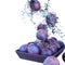 Ripe and juicy plums in splashes of sparkling water on a white background. Healthy food poster.