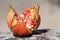 Ripe juicy pomegranate isolated on homogeneous background