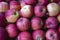 Ripe juicy red apples on the counter of the grocery market, a bunch of red-striped apples, fruit trade