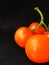 Ripe juicy red tomato with green leaves on a dark background. On tomatoes water drops, clean.