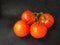 Ripe juicy red tomato with green leaves on a dark background. On tomatoes water drops, clean.