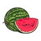 Ripe and juicy watermelon on white backgroun