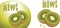 Ripe kiwi fruit. Icons for design