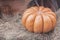 Ripe large ribbed pumpkin on straw, vintage colours. Rustic fall background with copy space