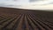 Ripe lavender field ready for harvest. Concept environment agriculture. Aerial view from drone up bright purple field