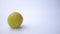 Ripe lemon falls to the wet floor on white background in slow motion.