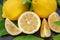 Ripe lemon fruits with slices and lemon leaves on a gray stone table