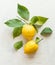 Ripe lemons with green leaves  composition on white desktop background , top view. Organic citrus fruits. Flat lay. Healthy food
