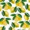 Ripe lemons Watercolor set. Citrus pattern on white background.