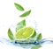 Ripe lime, fresh mint and splashing water on background