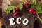 Ripe lingonberry on branches, inscription in wooden letters - ECO.