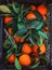 Ripe Mandarines tangerine, clementine with leaves in basket over dark background. Top view