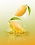 Ripe mango drop on juice splash and ripple, Realistic Fruit and yogurt, transparent, vector illustration