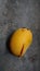 Ripe mango. Mango fruit whose skin was cracked peeled off because it fell from the tree. Selective focus.