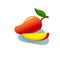 Ripe mango with a slice. Vector illustration.