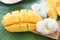 Ripe mango and sticky rice in bamboo dish.
