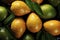 Ripe mangoes nestle against each other, forming a colorful, natural background of fruity abundance.
