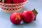 Ripe mature homegrown red apples on blue background. Close up