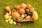 Ripe multicolor mix of squash exhibition on grass lawn. Fresh harvested decorative pumpkins in wicker basket displayed in garden.