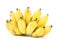 Ripe native banana