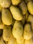 Ripe native Carabao Mangoes, also known as Philippine mango, on display and for sale at a local market