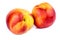 Ripe nectarines on white background. Closeup