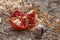 Ripe open pomegranate lying on the ground