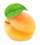 Ripe orange apricot with green leaf isolated