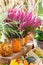 Ripe orange bellied zombie pumpkins and blooming Erica heather. Autumn harvest festival Fremer, flower and vegetable decoration